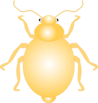 ממלא מקום Bug 111 1 22